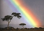 arc en ciel regenbogen rainbow